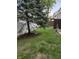 View of the grassy backyard with large pine tree and backyard deck at 9535 Longwell Dr, Indianapolis, IN 46240