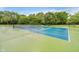 Community tennis court surrounded by lush greenery, providing a perfect spot for recreation and exercise at 13896 Fernleaf Way, Carmel, IN 46033