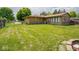 Lush green backyard with mature trees and a brick exterior home in the background at 3538 Whalen Ave, Indianapolis, IN 46227