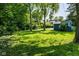 Lush green backyard with mature trees providing shade, featuring blue shed with white trim at 6264 Central Ave, Indianapolis, IN 46220