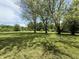 Expansive green yard with mature trees offering shade, ideal for outdoor activities and enjoying nature at 6498 N County Road 475 E, Pittsboro, IN 46167