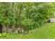 A lush backyard landscape featuring a wooden bridge and mature trees creating a private retreat at 1124 Enchanted View Dr, Mooresville, IN 46158