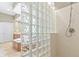 Well-lit bathroom highlighting a large shower with glass block accents and modern fixtures at 16502 Grand Cypress Dr, Noblesville, IN 46060