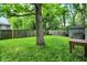 Green backyard featuring a mature tree, and a fenced perimeter for privacy at 514 Dorman St, Indianapolis, IN 46202