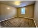 A light-filled, carpeted bedroom features a neutral color scheme and a window with natural light at 5347 Sampson Dr, Indianapolis, IN 46237