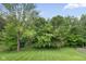 Large backyard with a lush green lawn and mature trees provides privacy at 7022 Tamarind Ct, Indianapolis, IN 46236