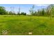 Expansive backyard with a black fence and mature trees offering privacy at 14350 Ludwell Ct, Fishers, IN 46037