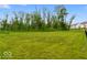 Spacious green backyard with lush trees and landscaping at 14350 Ludwell Ct, Fishers, IN 46037