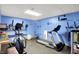 Home gym featuring an elliptical machine, treadmill, weights, and fitness equipment for workouts at 201 Angela Ct, Noblesville, IN 46062