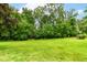 Spacious backyard with a large lawn, lush trees, and installed swing sets at 3772 Christina Ct, Carmel, IN 46033