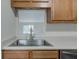 Close up on the stainless steel sink and counter with a window into another room at 8684 Captain Dr, Avon, IN 46123