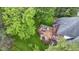 Aerial view of a large backyard including a wooden deck and lush landscaping at 8723 Bergeson Dr, Indianapolis, IN 46278