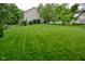 Large backyard featuring lush green grass and mature trees, great for outdoor activities at 9705 Valley Springs Blvd, Fishers, IN 46037