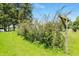 A lush yard features mature trees, a well-maintained lawn, and a thriving ecosystem providing the perfect place for relaxation at 1240 Stringtown Pike, Cicero, IN 46034