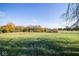 Expansive grassy backyard with a beautiful tree line at the far edge of the property at 13518 (3 Lots) Promise Rd, Fishers, IN 46038
