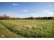 An expansive yard, perfect for outdoor activities, under a clear blue sky at 13518 (3 Lots) Promise Rd, Fishers, IN 46038