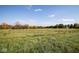 Vast open yard, great for various outdoor uses, beneath a clear blue sky with light clouds at 13518 (3 Lots) Promise Rd, Fishers, IN 46038