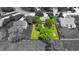 Aerial view of home highlighting a well-maintained backyard with mature trees and green lawn at 319 Mcintosh Ln, Westfield, IN 46074