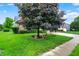 A wide view of a grassy front yard and tree lined street. A home is seen in the background at 4506 Tarragon Dr, Indianapolis, IN 46237