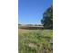 Picturesque land perfect for building your dream home at 7248 Covington St, Lebanon, IN 46052