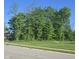 Well-maintained property featuring a large, grassy lawn and mature trees at 7248 Covington St, Lebanon, IN 46052