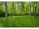 Lush backyard with mature trees and ample green space at 8905 Washington Blvd West Dr, Indianapolis, IN 46240