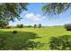 Expansive backyard featuring lush greenery and open space, offering a tranquil and serene outdoor environment at 25420 Jerkwater Rd, Sheridan, IN 46069