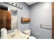 Simple bathroom with a vanity, mirror, toilet, gray paint, and basic fixtures at 25420 Jerkwater Rd, Sheridan, IN 46069