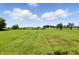 Extensive green yard showcasing the property's size and open space, perfect for outdoor activities at 25420 Jerkwater Rd, Sheridan, IN 46069