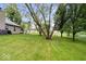 Spacious backyard with lush green grass, mature trees, and ample space for outdoor activities at 4016 Dogwood Ln, Franklin, IN 46131