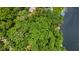 Aerial view of lush green tree tops and a glimpse of the waterfront and lake at 8434 S Christian Dr, Nineveh, IN 46164