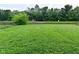 Manicured green backyard with pond views at 10431 Bellchime Ct, Indianapolis, IN 46235