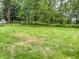 A view of the large backyard showing grass, trees, a shed and lush greenery at 3325 Canaday Dr, Anderson, IN 46013