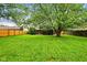 Beautiful backyard featuring a large, mature tree, green grass, and fenced perimeter for privacy at 4701 Candy Spots Dr, Indianapolis, IN 46237