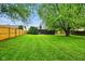Large, green backyard featuring mature trees, well-maintained lawn, and privacy fence, perfect for outdoor activities at 4701 Candy Spots Dr, Indianapolis, IN 46237