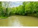 Picturesque river view surrounded by lush greenery under a partly cloudy sky at 2781 E Vandalia Rd, Flat Rock, IN 47234