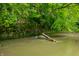 Tranquil river view featuring natural rock and greenery on the shoreline at 2781 E Vandalia Rd, Flat Rock, IN 47234