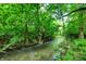 A stream surrounded by dense green foliage, showcasing a serene and natural landscape at 4495 W Stones Crossing Rd, Greenwood, IN 46143