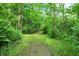 A path surrounded by lush greenery and trees, creating a serene and natural environment at 4495 W Stones Crossing Rd, Greenwood, IN 46143