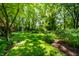 Lush backyard lawn with mature trees and meticulous landscaping, providing a serene and private outdoor space at 9550 Copley Dr, Indianapolis, IN 46260