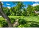 A natural stone pathway with green landscaped borders winds through the backyard, leading to a serene retreat at 9550 Copley Dr, Indianapolis, IN 46260
