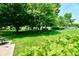 Expansive backyard featuring lush green lawn, mature trees, and verdant ferns for a serene, private outdoor space at 1010 Lakewood N Dr, Brownsburg, IN 46112