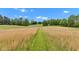 Expansive field of tall grass with a mowed path, showing the property's vast open space at 10444 N State Road 9, Fountaintown, IN 46130