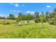 Open meadow with beehives, showcasing a natural and agricultural aspect of the property at 10444 N State Road 9, Fountaintown, IN 46130