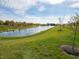 Community pond with fountain and grassy shoreline and several mature trees at 2271 Oakmont Dr, Plainfield, IN 46168