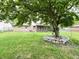 Large tree with stone base sits in the spacious backyard of this charming property at 5130 Navajo Ct, Columbus, IN 47203