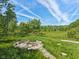 Charming outdoor fire pit area surrounded by natural landscape, perfect for relaxing and entertaining at 9656 Summerton Dr, Fishers, IN 46037