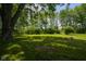 Large, lush backyard with mature trees, offering plenty of shade and space for outdoor activities at 2721 W 34Th St, Anderson, IN 46011