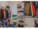 Walk-in closet with custom shelving and storage, a window for natural light, and carpeted flooring at 2953 Foxborough Dr, Greenwood, IN 46143
