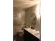 Well-lit bathroom with double sinks, modern fixtures, tiled wall accents, and comfortable design at 5101 W Bay Rd, Plainfield, IN 46168